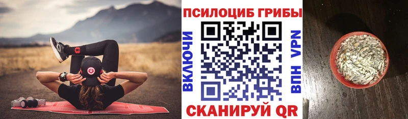 Галлюциногенные грибы Psilocybine cubensis  Купить  Неман 